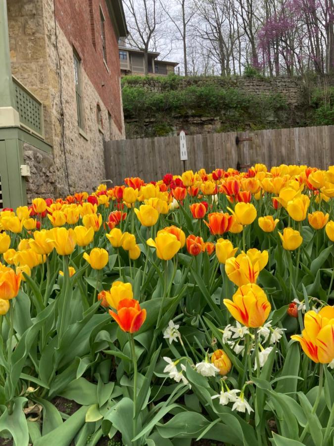 Abe'S Spring Street Guest House Galena Bagian luar foto